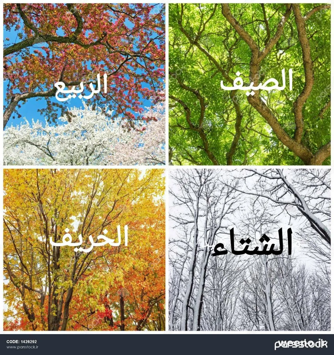 یکی از مواردی که درکلاس هفتم دانش آموزیادمی گیرد وبایدهمیشه به یادداشته باشداسامی فصلهاست این عکس را…